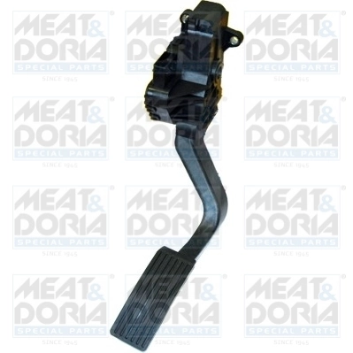 Accelerator Pedal Unit